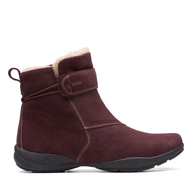 Burgundy Clarks Suede Women's Desert Boots | 86705-QBDU