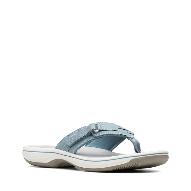 Blue Clarks BREEZE SEA Women's Flip Flops | 10954-NUYL