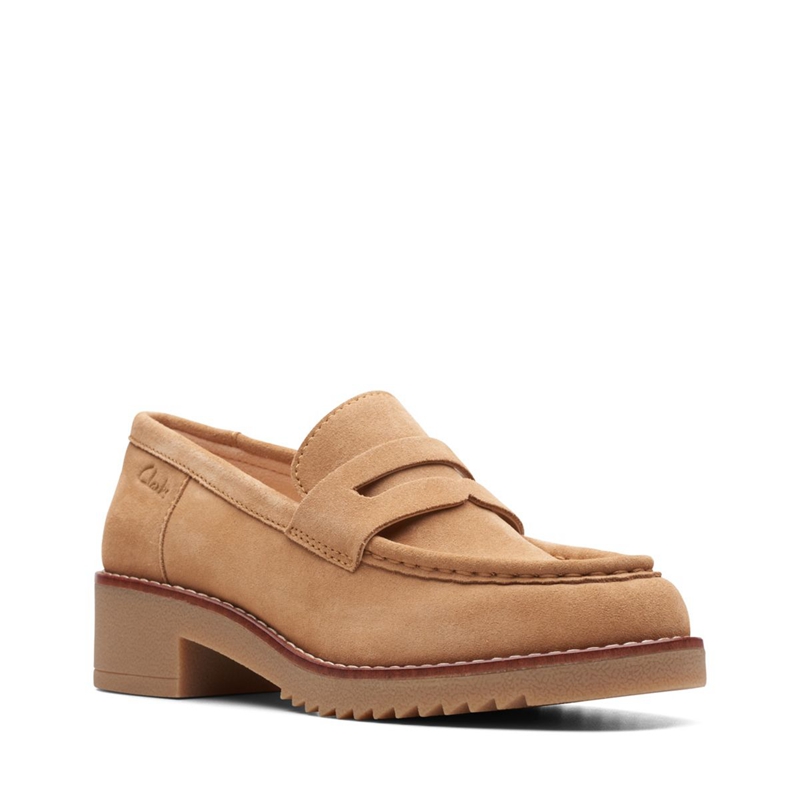 Brown Clarks Eden Style Women's Loafers | 63189-RZCF