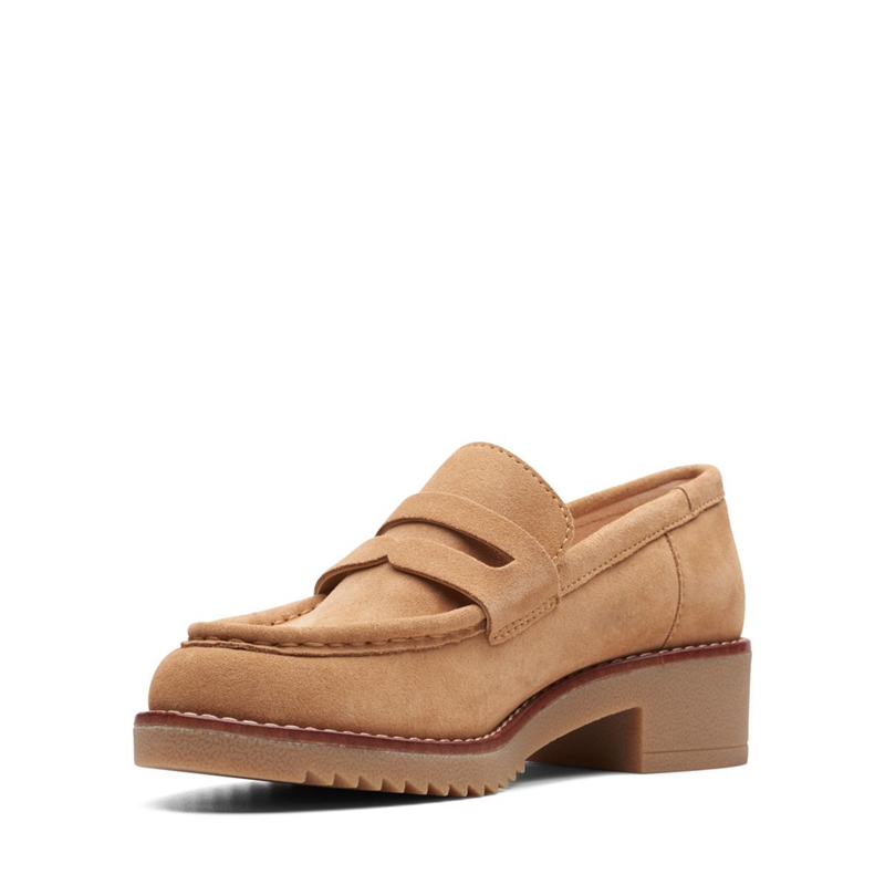 Brown Clarks Eden Style Women's Loafers | 63189-RZCF