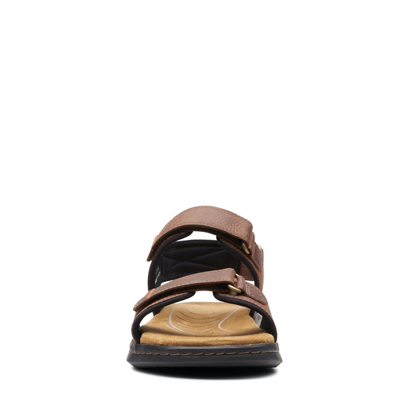 Brown Clarks Hapsford Creek Tumb Men's Sandals | 36704-OXSC