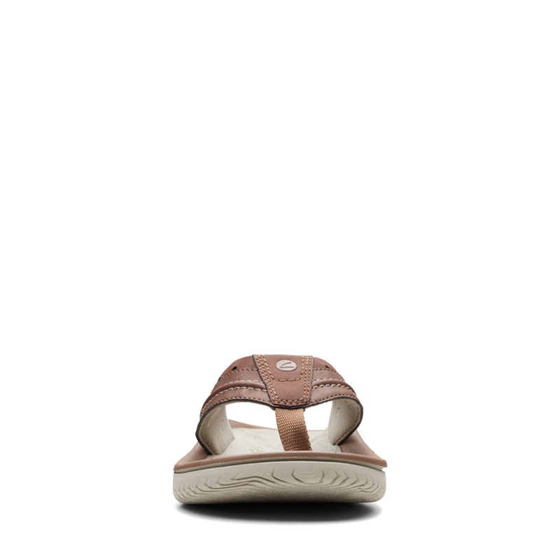 Brown Clarks Wesley Post Men's Flip Flops | 90147-USNA