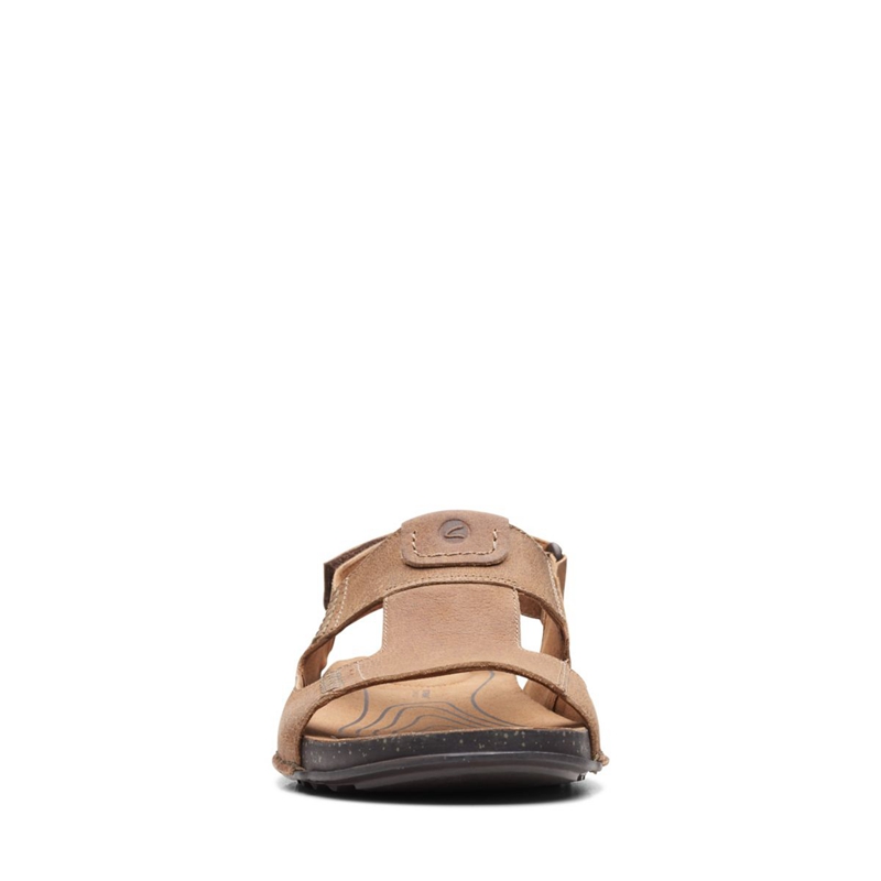 Dark Brown Clarks Crestview Bay Lea Men's Sandals | 25463-WMVN