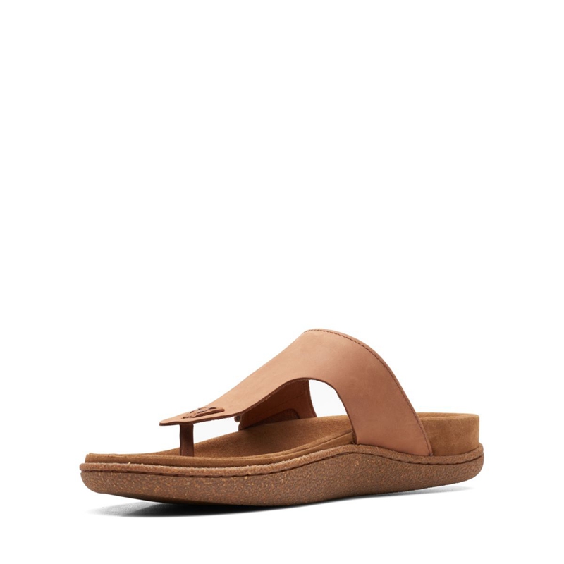 Dark Brown Clarks Pilton Post Nubuck Men's Sandals | 81403-KMPB