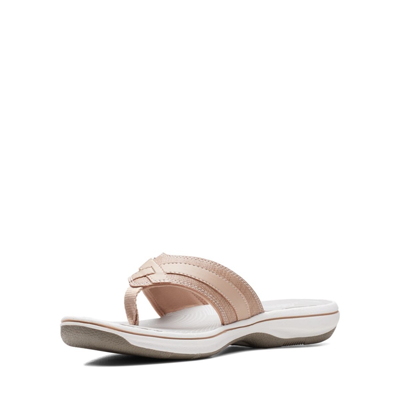 Grey Clarks BREEZE SEA Syntheic Women's Flip Flops | 62857-UXKY