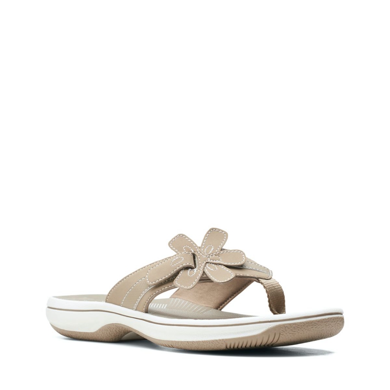 Grey Clarks Brinkley Flora Women's Flip Flops | 73256-XBTN