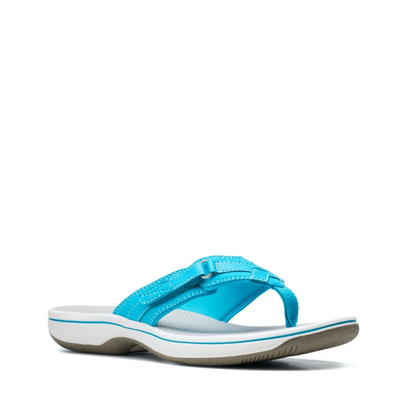 Light Turquoise Clarks BREEZE SEA Aqua synthetic Women's Flip Flops | 41970-GRSZ