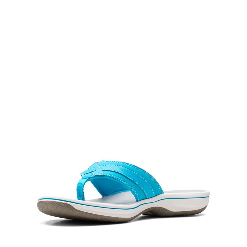 Light Turquoise Clarks BREEZE SEA Aqua synthetic Women's Flip Flops | 41970-GRSZ