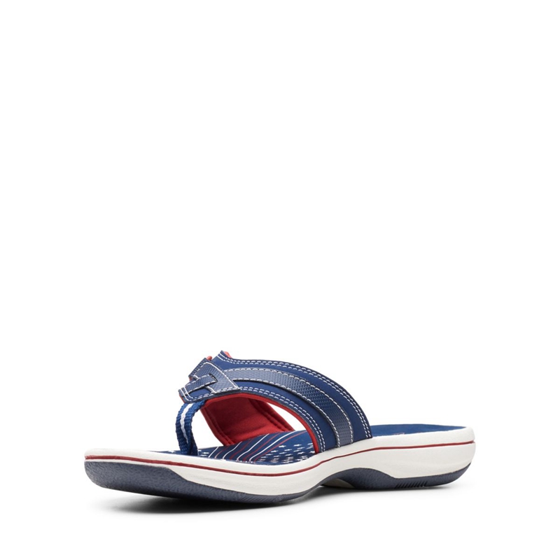 Navy / Red Clarks BREEZE SEA Women's Flip Flops | 86147-CSIF