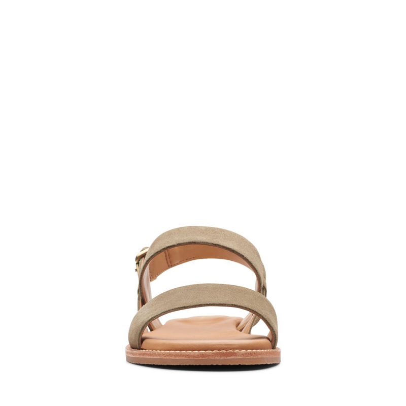 Olive Clarks Karsea Strap Suede Women's Sandals | 83794-PLTV