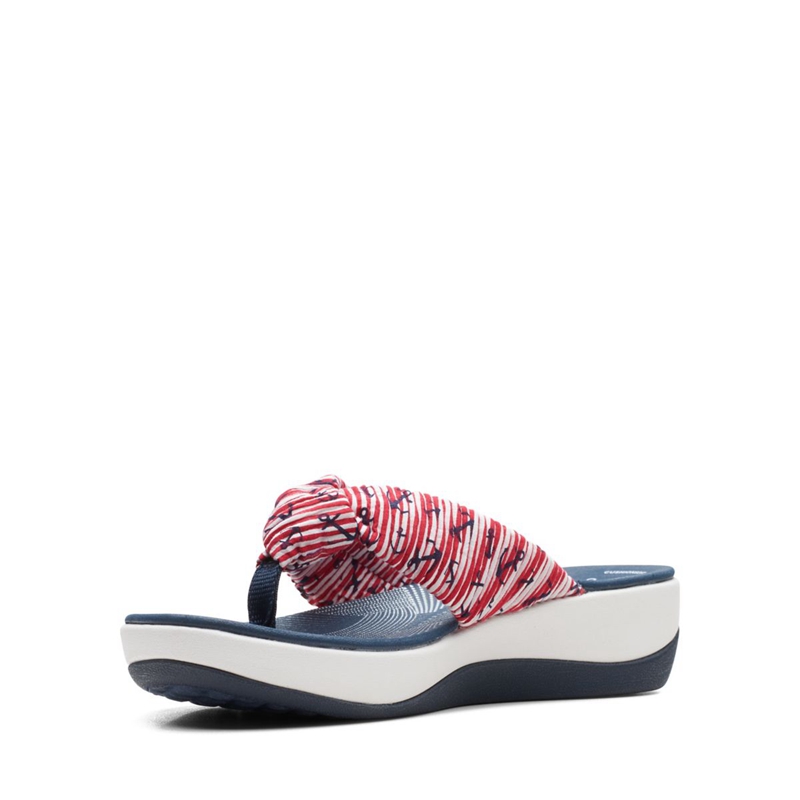 Red / Blue Clarks Arla Glison Women's Flip Flops | 35147-STGI